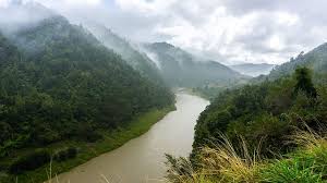 Forest river vs jayco rv reputation. The New Zealand River That Became A Legal Person Bbc Travel