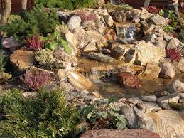 Cara Membuat Slide Alpine Yang Murah Apa Yang Harus Dipersiapkan Untuk Memperlengkapi Bukit Alpine Sebelum Mulai Bekerja Alpine Slide Plants Aturan Pemilihan