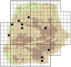 Image result for Stomatostemma monteiroae