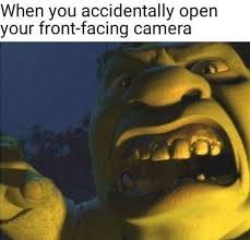 Fifteen Dank Shrek Memes Full Of Love And Life Shrek Memes Shrek Memes