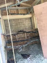 Michael Rieken (michaelrieken)