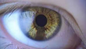 Le soleil est un facteur favorisant les taches noires en plus de la couleur de peau. Quelle Est La Signification D Une Tache De Naissance Dans L Oeil Esprit Spiritualite Metaphysiques
