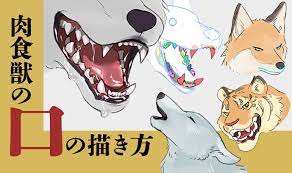 肉食獣の口の描き方 いちあっぷ 口のデッサン 描き方 歯 イラスト