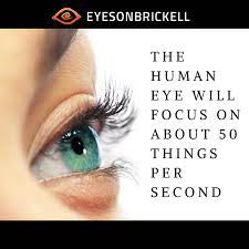 Did You Know About This Eye Fact Eyefacts Humaneye Eyemuscle Eyecare Eyedoctors Eyehealth Eye Facts Vision Eye Eye Care