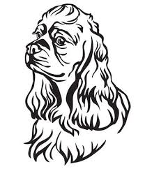 American cocker spaniel coloring pages also come in a variety of variations. 15 373 Cocker Spaniel Lizenzfreie Bilder Und Fotos Kaufen 123rf