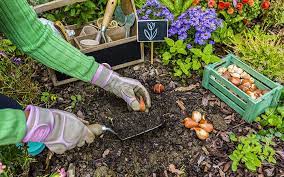 Maybe you would like to learn more about one of these? Gardening While Pregnant David Domoney
