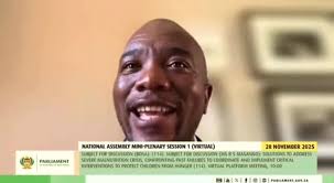 🎥] Dean Barnard (BOSA Youth Secretary) making his voice heard at the 5th  African Peer Review Mechanism symposium at the Pan African Parliament!  #BuildOneSA #YouthInAction #APRM2025