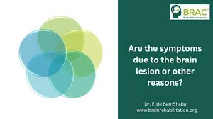 Image result for Brain Lesion