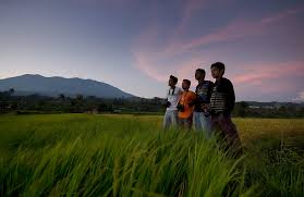 Sebagai orang indonesia, kita tentunya sangat familiar dengan persawahan memang sangat indah apalagi jika padi yang ditanam didalamnya sudah menguning dan gambar pemandangan yang satu ini tidak kalah indahnya yaitu pemandangan lembah di. Sawah Padi Di Pariangan Pemandangan Dari Sawah Padi Berlat Flickr