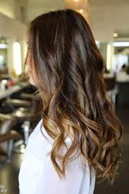 Purple stripes on dark natural hair can provide a breathtaking contrast that you will not get from anything else. Dark Brown Hair With Blonde Highlights And Red Lowlights Shopping Guide
