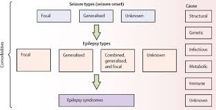 Images on the instagram tiktok about eplipsy. Epilepsy In Adults The Lancet