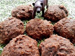 La Mognon D Ourson Galette Melasse A La Patte D Ours Que Preferez Vous Une Galette A La Melas Healthy Dog Food Recipes Molasses Cookies Biscuit Cookies