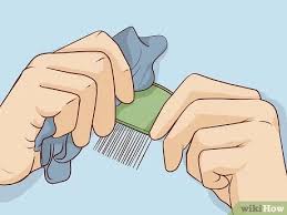 Following morning, rinse your hair with cold water, comb, and don't forget to remove the nits that may remain on your comb. 4 Ways To Remove Nits From Hair Wikihow