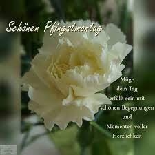 Hey leute, vielen dank fürs zuschauen am gestriegen abend 😎 😊. á… Pfingstmontag Bilder Pfingstmontag Gb Pics Gbpicsonline