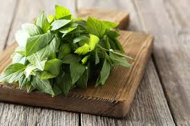 Maybe you would like to learn more about one of these? 3 Manfaat Daun Kemangi Bagi Kesehatan Tak Hanya Nikmat Sebagai Lalapan Kegunaan Efek Samping Interaksi Hello Sehat