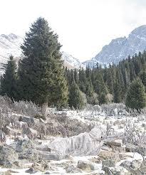 Camouflage Xjagd Demorphing Tarnkleidung Tarnung Jagdkleidung Jagd Jagdbekleidung Jagdausrustung St Hubertus Jagdzeitschrift Savascilar Askeri