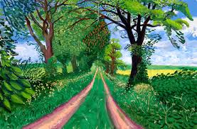 Afbeeldingsresultaat voor david Hockney