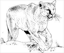 Click the realistic cougar coloring pages to view printable version or color it online (compatible with ipad and android tablets). Realistic Cougar Coloring Page Coloringbay