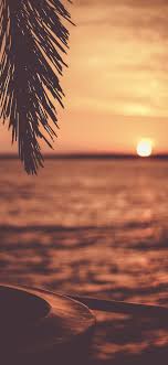 Enjoy and share your favorite beautiful hd wallpapers and background images. Sunset Iphone Wallpapers Top Free Sunset Iphone Backgrounds Wallpaperaccess
