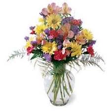 Chiropractor in lansing mi offers free 10 point spinal health screening, you will be able to determine if we can help you before you spend any money. Same Day Flowers In Lansing Mi Flower Delivery From Local Florists 1st In Flowers