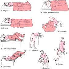 Maybe you would like to learn more about one of these? Lateral Position Definition Of Lateral Position By Medical Dictionary