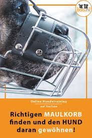 pin auf hundeerziehung