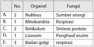 Check spelling or type a new query. Pembahasan Soal Un Sma Ipa Biologi 2016 Struktur Fungsi Susunan Kimia Sel Idschool