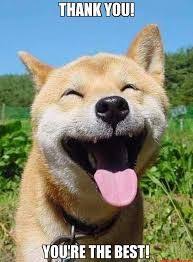 ♥ sometimes you just have to let go and purge yourself. You Re The Best Meme Google Search Smiling Animals Happy Animals Smiling Dogs