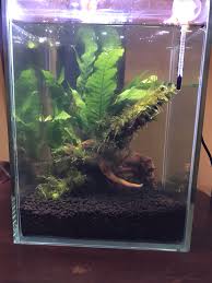 Aquascaping is a learned craft, and we're schooling you about this art in this article. Aquascaping Services Pet Supplies For Fish Fish Tank Accessories On Carousell
