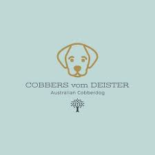 Lesen sie hier, wie sie dokumente richtig beglaubigen und übersetzen lassen. 100 Dog Ideen In 2021 Hunde Hundchen Training Hunde Erziehen