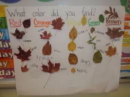 Leaf Sort Fall Kindergarten Fall Preschool Creative Curriculum