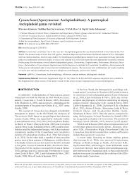 Image result for Cynanchum praecox