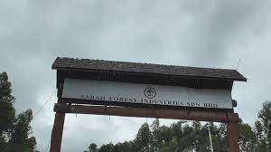 Sabah forest industries sdn bhd (sfi) is one of the earliest forest plantation company. Rancangan Membangunkan Sfi Sipitang Kini Terkubur Begitu Sahaja Sabah Kita