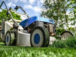 Jardin Sans Entretien Enfin Des Solutions Entretien Gazon Entretien Du Jardin Et Tondeuse Gazon