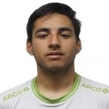 Estadísticas Andrés Becerra, Tigres de Álica