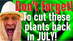 Drought Plants & Small Garden Trees with Matt Collins of the Garden Museum  (Talking Dirty 87)