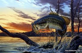 John Dewey "J.D." Parrish Jr. Obituary