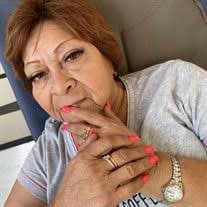 Diana Ledesma Archer Obituary (2024)