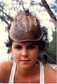 What Happened to all the IRL Horseshoe Crabs? SLR/IRL