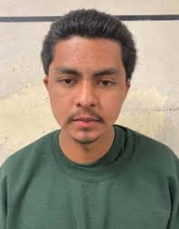 Greenfield teen arrested for 2020 murders