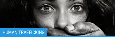 Перевод слова human, американское и британское произношение, транскрипция, словосочетания, однокоренные слова, примеры использования. Human Trafficking