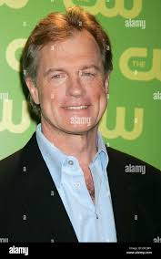 Stephen collins hi-res stock photography and images