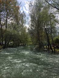Yesilgoz Tekir Sehir