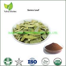 Senna glycoside, also known as sennoside or senna, is a medication used to treat constipation and empty the large intestine before surgery. Senna Alexandrina Leaf Extract Sennosides Glycoside For Constipation China Senna Alexandrina Leaf Extract Sennosides Glycoside Made In China Com