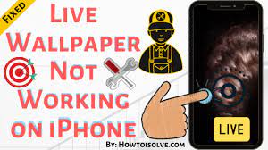 Live Wallpaper Not Working On Iphone 12 Pro Max 11 All Models In 2021