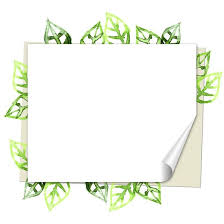 Here you can explore hq borders and frames transparent illustrations, icons and clipart with filter setting like size, type, color etc. 15 Trend Terbaru Border Frame Daun Stylus Point