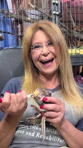 Laurie Rogers Wildlife Rehabber