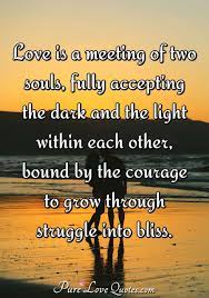 When two souls have finally found each other, there is established between them a union which begins on earth and continues forever in heaven. Love Is A Meeting Of Two Souls Fully Accepting The Dark And The Light Within Purelovequotes