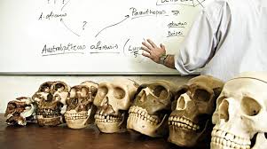 17 raspunsuri la intrebarea cand au aparut dinozaurii? Top 10 Mistere Despre Evolutia Omului Inbors