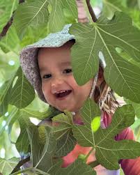 It's the 1st of Feb but here's some pics for our Christmas holiday